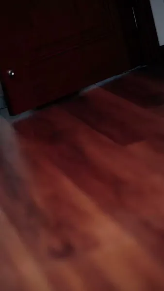 แสงจันทร์ที่ปลายใจ