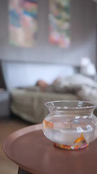 พรหมลิขิตที่ถูกวางแผนไว้