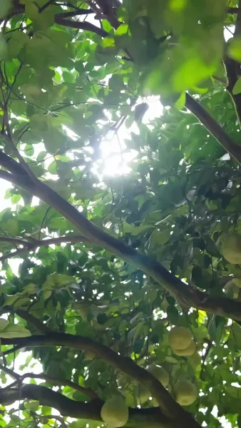 สะใภ้สายลุย พิชิตบอสสายหยิ่ง