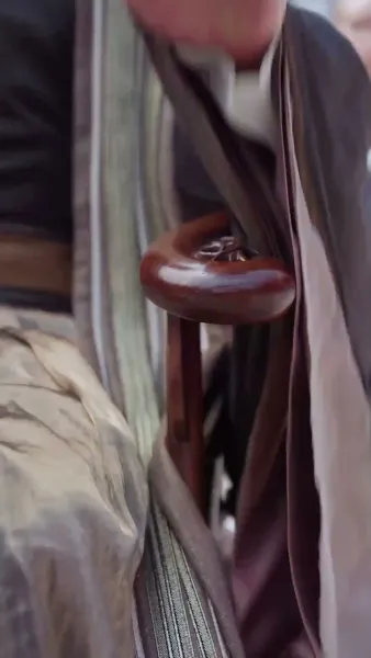 มังกรแท้ผู้ฝ่าฟันทุกข์เข็ญ