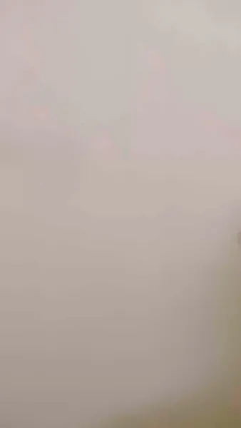 แต่งผิดคน แต่รักถูกใจ