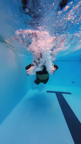 ดอกไม้ผลิบานอีกครั้ง