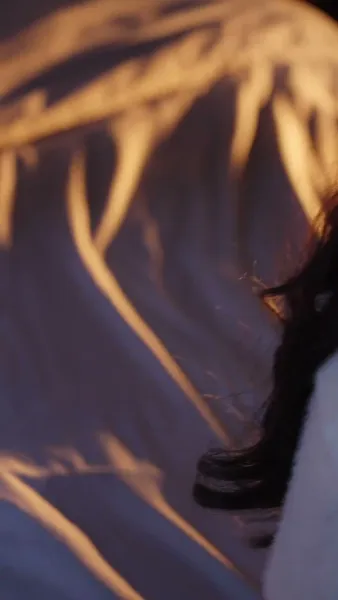 ดอกไม้ผลิบานอีกครั้ง