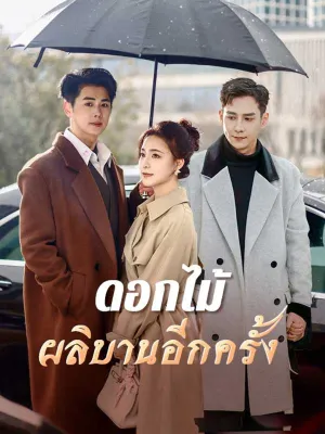 ดอกไม้ผลิบานอีกครั้ง