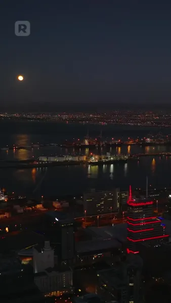 แต่งงานเพื่อกรีนการ์ดอยู่ความรัก