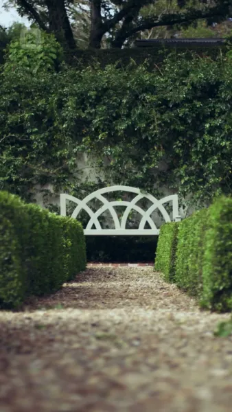 ตื่นมาตั้งครรภ์