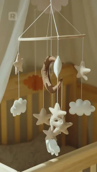 ตื่นมาตั้งครรภ์