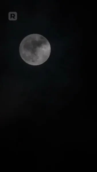 ชีวิตใหม่สู่รักซีอีโอ