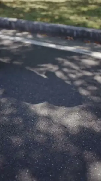 เพลิงวัยรุ่น