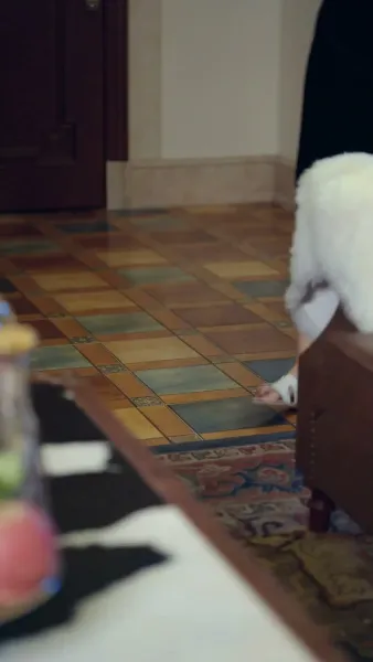 แตะน้องฉันเหรอเดี๋ยวรู้เรื่อง