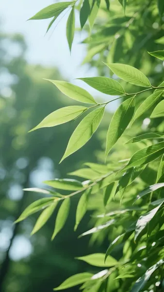 แตะน้องฉันเหรอเดี๋ยวรู้เรื่อง