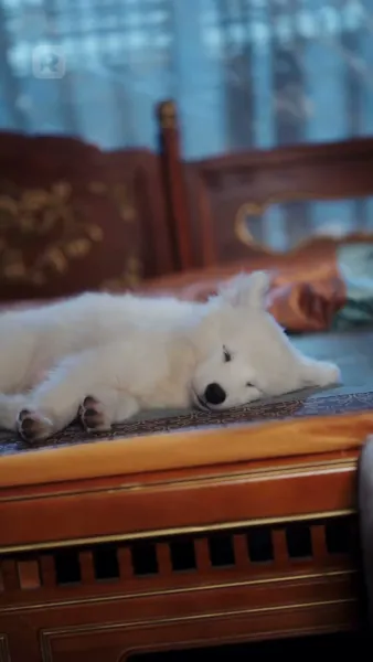 ธิดาเอกผู้ชิงชังอธรรม