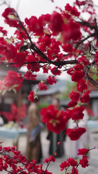 ธิดาเอกผู้ชิงชังอธรรม