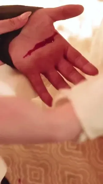 แผนการใต้ผ้าไหม