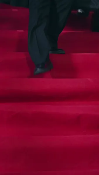 การกลับมาของมังกร