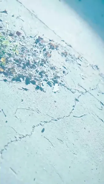 เพียงแสงในนิทรา