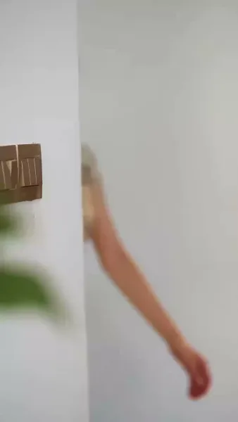 ดอกไม้สีเถ้า