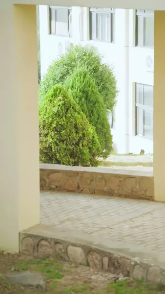 ย้อนเวลาเพื่อหัวใจ