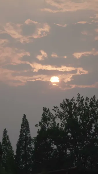 ชาติใหม่ 90 แต่งงานใหม่ สดชื่นจัด