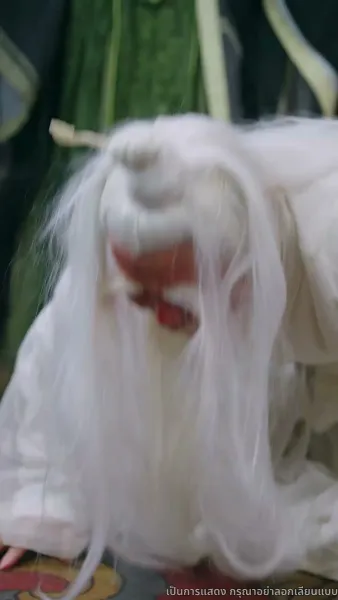 เทพมังกรพลิกชะตา