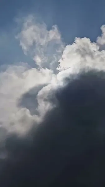 [พากย์เสียง] พ้นโทษมาเป็นดวงใจของคุณชาย