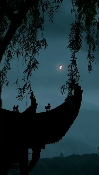 บุพเพใต้เงาบุปผา