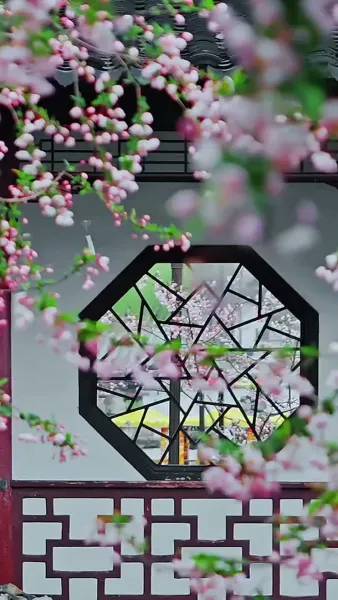 บุพเพใต้เงาบุปผา