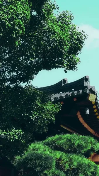 บุพเพใต้เงาบุปผา