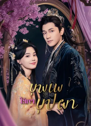 บุพเพใต้เงาบุปผา