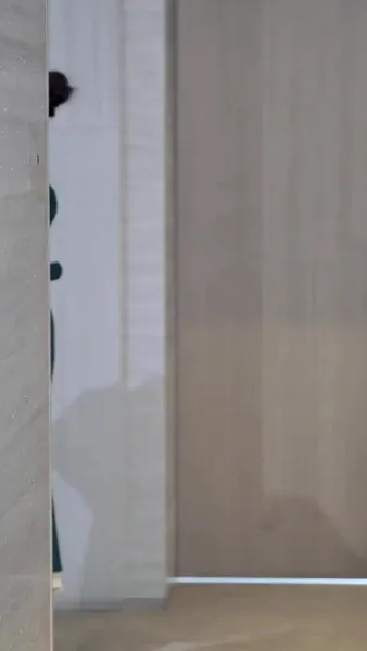 แม่ใหม่ไฉไลกว่าเดิม