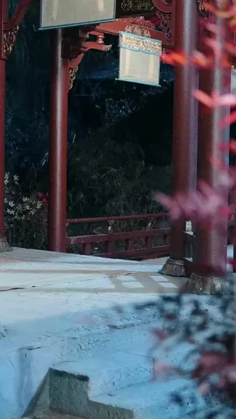 คืนวังหงส์คู่