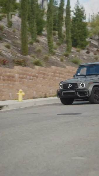 การเฝ้ารักษาสตรีที่เป็น ทายาทหญิง