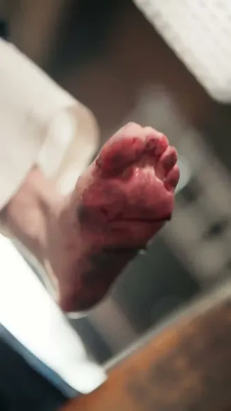 ตำนานรักแม่ทัพดอกไห่ถาง