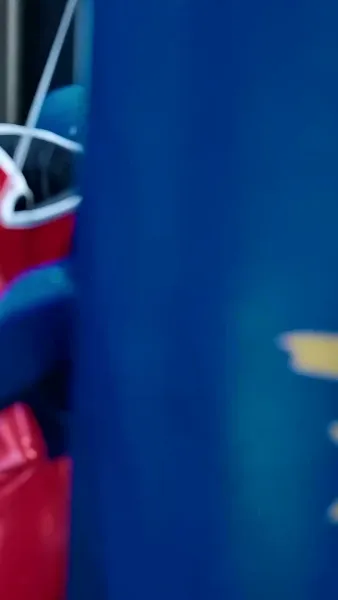 นักชกหมัดเหล็ก