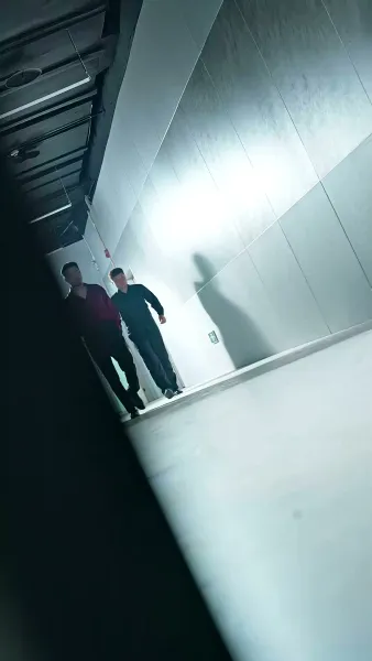 นักชกหมัดเหล็ก