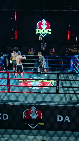 นักชกหมัดเหล็ก