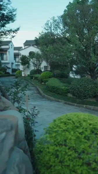 รักซ่อนกลางวังวน