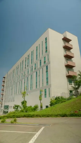 ซินเดอเรลล่ากับทายาทต้องสาป