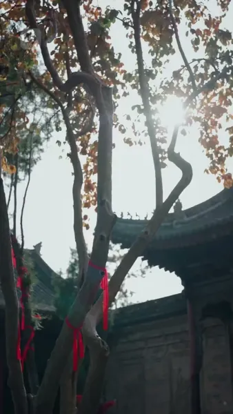 ละครหุ่นเชิด