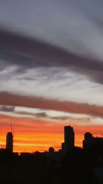 รีบหย่าให้ไว คุณหนูหัวใจพันล้าน