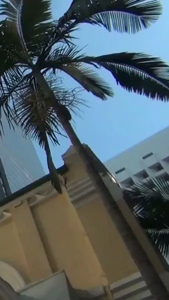 รีบหย่าให้ไว คุณหนูหัวใจพันล้าน