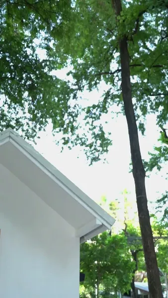 รีบหย่าให้ไว คุณหนูหัวใจพันล้าน