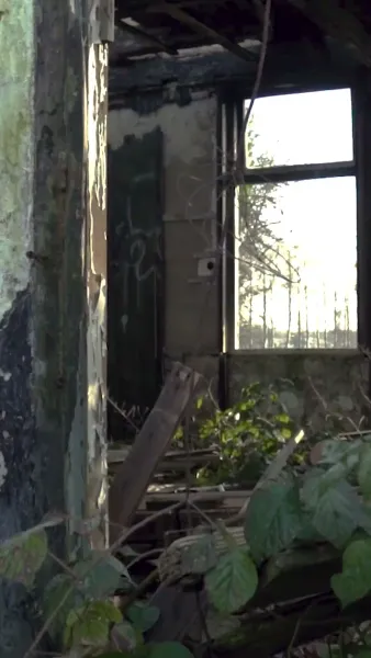 รีบหย่าให้ไว คุณหนูหัวใจพันล้าน