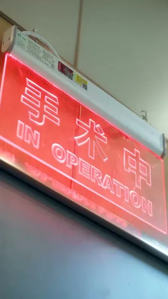 เจ้าสาวแก้ดวง(พากย์ไทย)