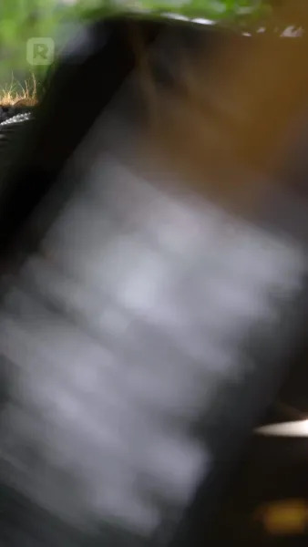 พ่อใหม่ของแม่จ๋า