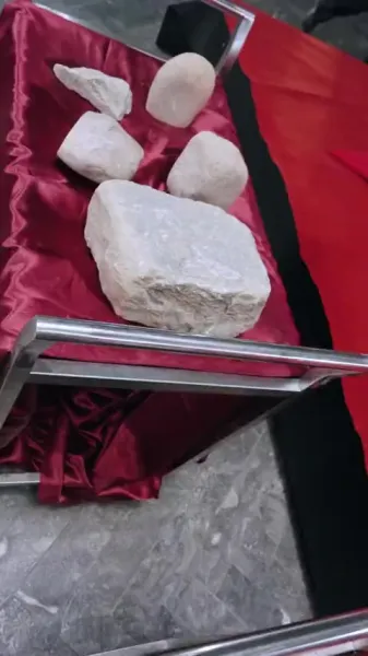 สาวน้อย ใจทรหด