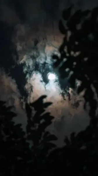 เกิดแบบพังๆ แต่ดันกลายเป็นที่รักของทุกคน