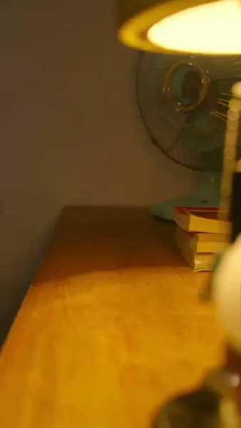 ข้ามเวลาไปแต่งกับพ่อหม้าย