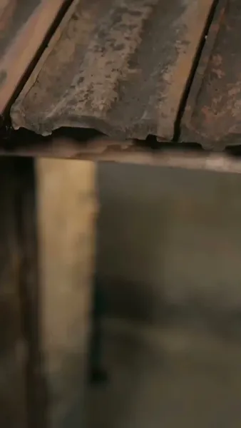 ข้ามเวลาไปแต่งกับพ่อหม้าย