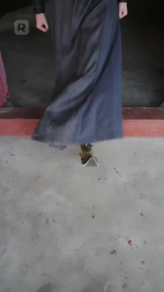 องค์หญิงพเนจร